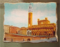 PIAZZA DEL CAMPO